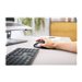 CHERRY DW 9500 Wrls Kbrd and Mouse (GB)