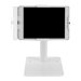 NEOMOUNTS Lockable Universal Desk Stand
