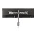 NEOMOUNTS Flat Desk Mount 2 screens Silv