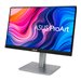 ASUS ProArt PA247CV 23.8p WLED IPS FHD