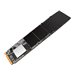 SILICON POWER SSD P34A60 256Go M.2 PCIe