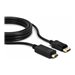 LINDY Câble DisplayPort vers HDMI 4K30