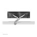 NEOMOUNTS Next Slim Desk Mount double