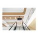 NEOMOUNTS Ceiling Mount 10-30p Black