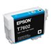 EPSON Ink T7602 Cyan