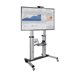 EATON TRIPPLITE Heavy-Duty Rolling TV
