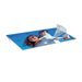 FELLOWES IL POCHETTES A3 125 MICRONS X