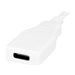URBAN FACTORY TYPE-C CABLE EXTENSION 1M