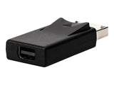 LINDY Adaptateur DisplayPort vers mini DisplayPort