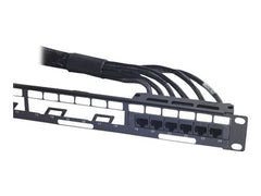 APC DDC Cat 6 UTP CMR 6XRJ-45 Black 11ft
