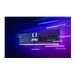KINGSTON FURY Renegade Pro 256Go DIMM