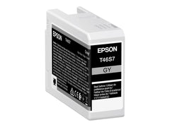 EPSON 5LB Singlepack Gray T46S7 UltraChrome Pro 10 ink 26ml