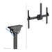 NEOMOUNTS Flat Screen Ceiling Mount