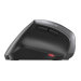 CHERRY MW 4500 Souris sans fil infraroug