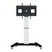 NEOMOUNTS Motorized stand - VESA 200x200