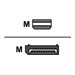 LINDY Adaptateur DisplayPort vers HDMI