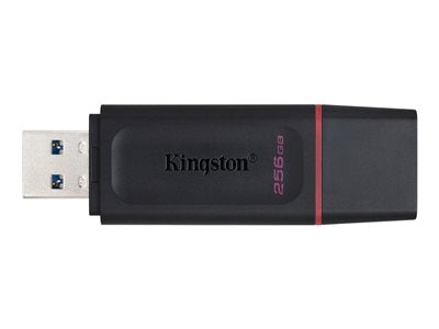 KINGSTON 256Go USB3.2 Gen1 DT Bk+Pink
