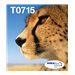 EPSON 2LB EasyMail T071 Cheetah