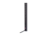 APC Rack PDU Basic Zero U 15A 100 120V