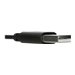 TARGUS Wired Stereo Headset