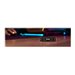 KINGSTON FURY Renegade 500Go M.2 PCIe
