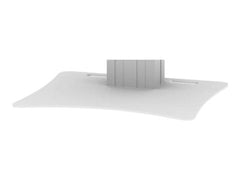 NEOMOUNTS Fixed Floor Plate for PLASMA