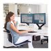 FELLOWES BRAS PORTE ÉCRAN DOUBLE PLAT