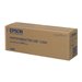 EPSON 5LB T6066 ink cartridge light mag