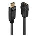 LINDY Convertisseur Passif DisplayPort