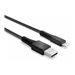 LINDY 0.5m USB Type A to Lightning