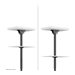 NEOMOUNTS Back-to-Back Ceiling Mount