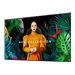 SAMSUNG 50p UHD/4K 16:9 QM50C Slim-LED