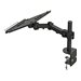NEOMOUNTS Notebook Desk/Wall Mount Clamp