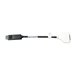 LINDY Convertisseur Actif DisplayPort