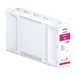 EPSON Double PackToner Noir POU