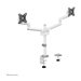 NEOMOUNTS Next Lite Screen Desk Mount