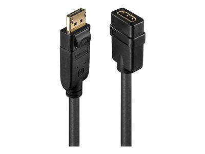 LINDY Convertisseur Passif DisplayPort