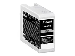 EPSON 1LB Singlepack Light Gray T46S9 UltraChrome Pro 10 ink 26ml