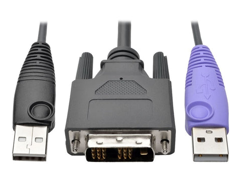 EATON NetDirector DVI USB Server Interface Unit with Virtual Media and CAC Support B064-IPG Series USB and DVI