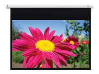 OPTOMA DE-1123EGA Ecran de Projection Electrique 16/10 166x265cm