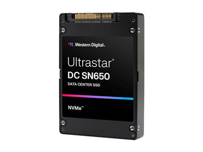 WESTERN DIGITAL Ultrastar SN650 7680Go