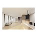 NEOMOUNTS Flat Screen Ceiling Mount
