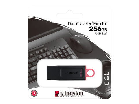 KINGSTON 256Go USB3.2 Gen1 DataTraveler Exodia Black + Pink