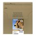 EPSON 2LB EasyMail T071 Cheetah