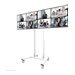 NEOMOUNTS Dual Screen Adapter for WL55
