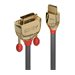 LINDY 0.5m Gold HDMI to DVI-D-Cable