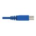 EATON TRIPPLITE DisplayPort KVM Cable