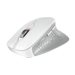 CHERRY Stream Wireless Mouse Comfort