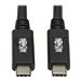 EATON TRIPPLITE USB-C Cable