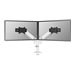 NEOMOUNTS Next One SL Desk Mount double